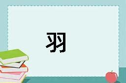 羽 字|羽的解释